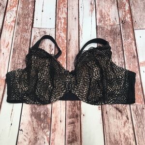 Lane Bryant Lace Bra